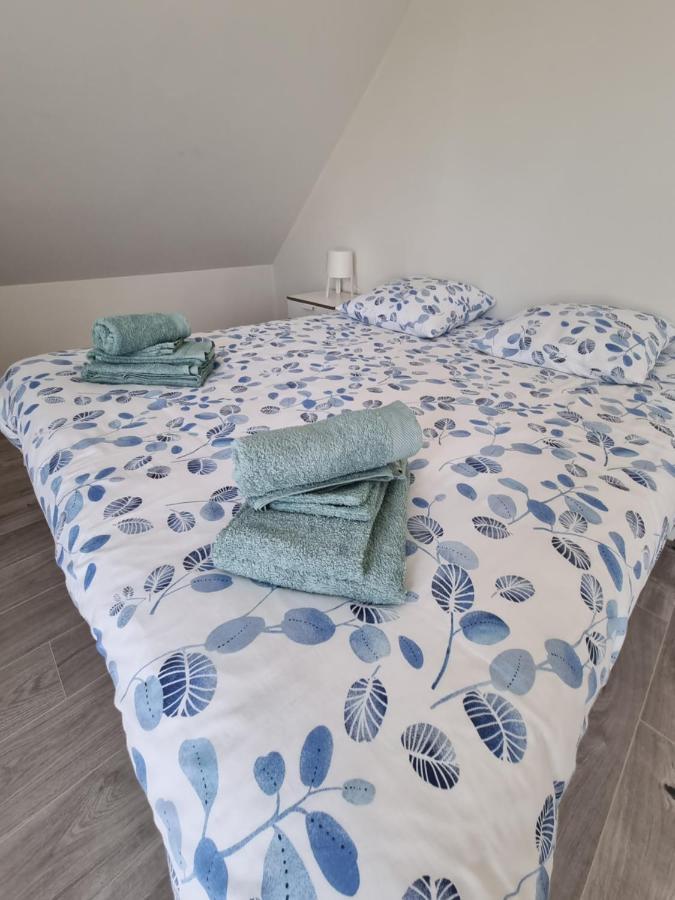 La Scierie T4 80m2 Appartement Annecy